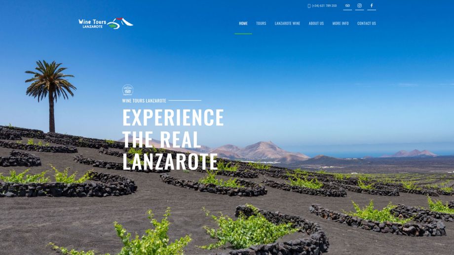 Web Design Portfolio MediaFish | Wine Tours Lanzarote